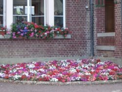 0_fleurs mairie